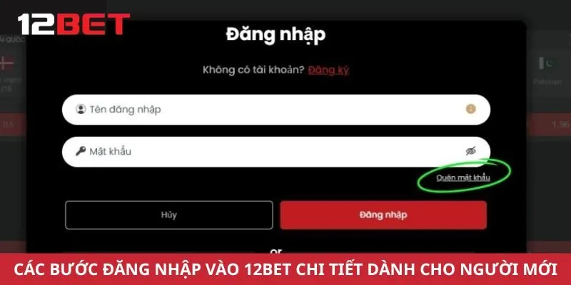 Các bước đăng nhập vào 12Bet chi tiết dành cho người mới
