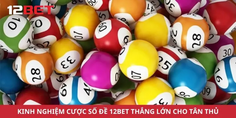 Kinh nghiệm cược số đề 12bet thắng lớn cho tân thủ
