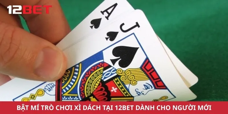 Bật Mí Trò Chơi Xì Dách Tại 12bet Dành Cho Người Mới